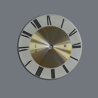 Βαθμονομημένα βιομηχανικά καντράν από ανοξείδωτο χάλυβα ακριβείας για όργανα